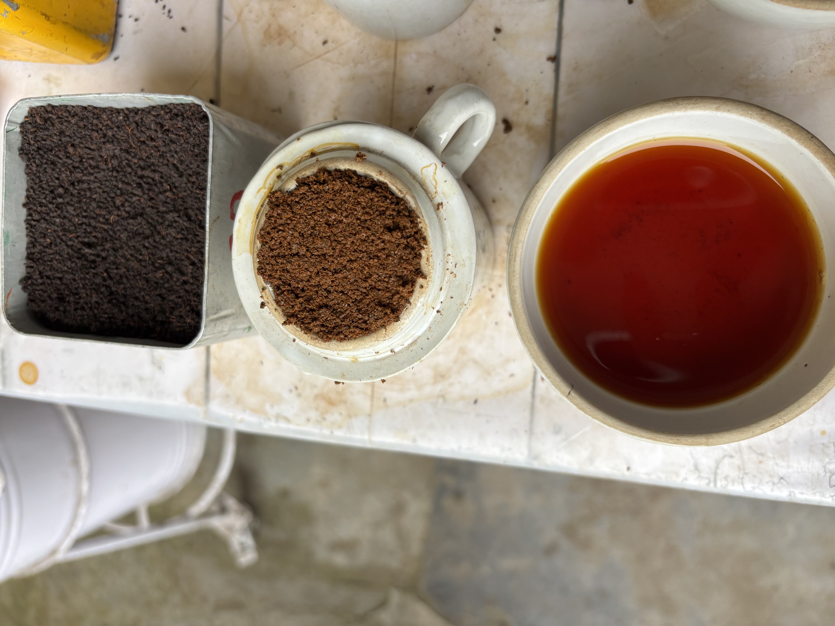 Tea Plucking