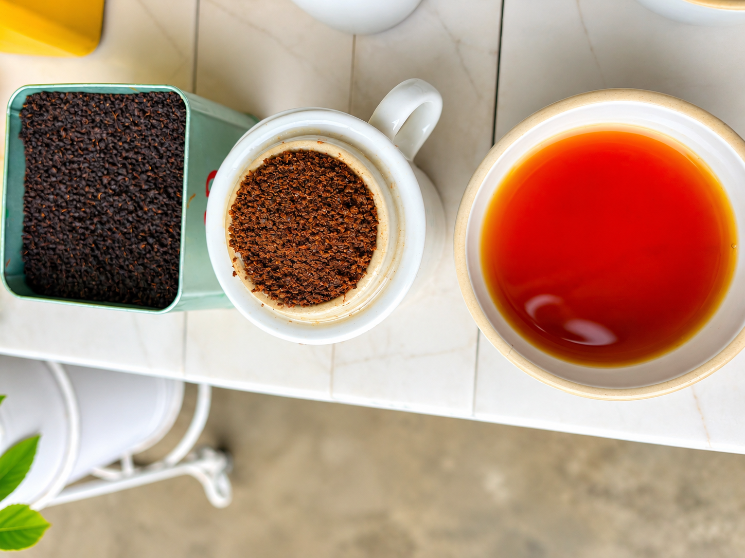 Tea Plucking